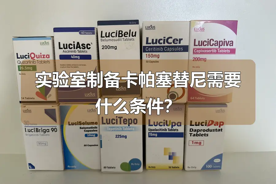 实验室制备卡帕塞替尼需要什么条件?